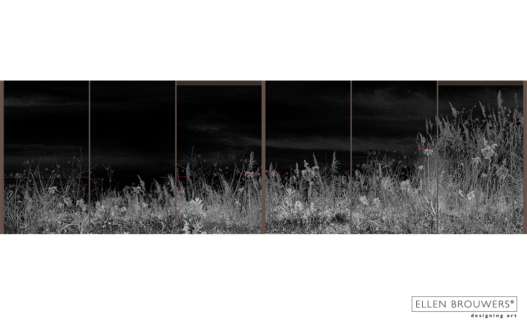ImageShow